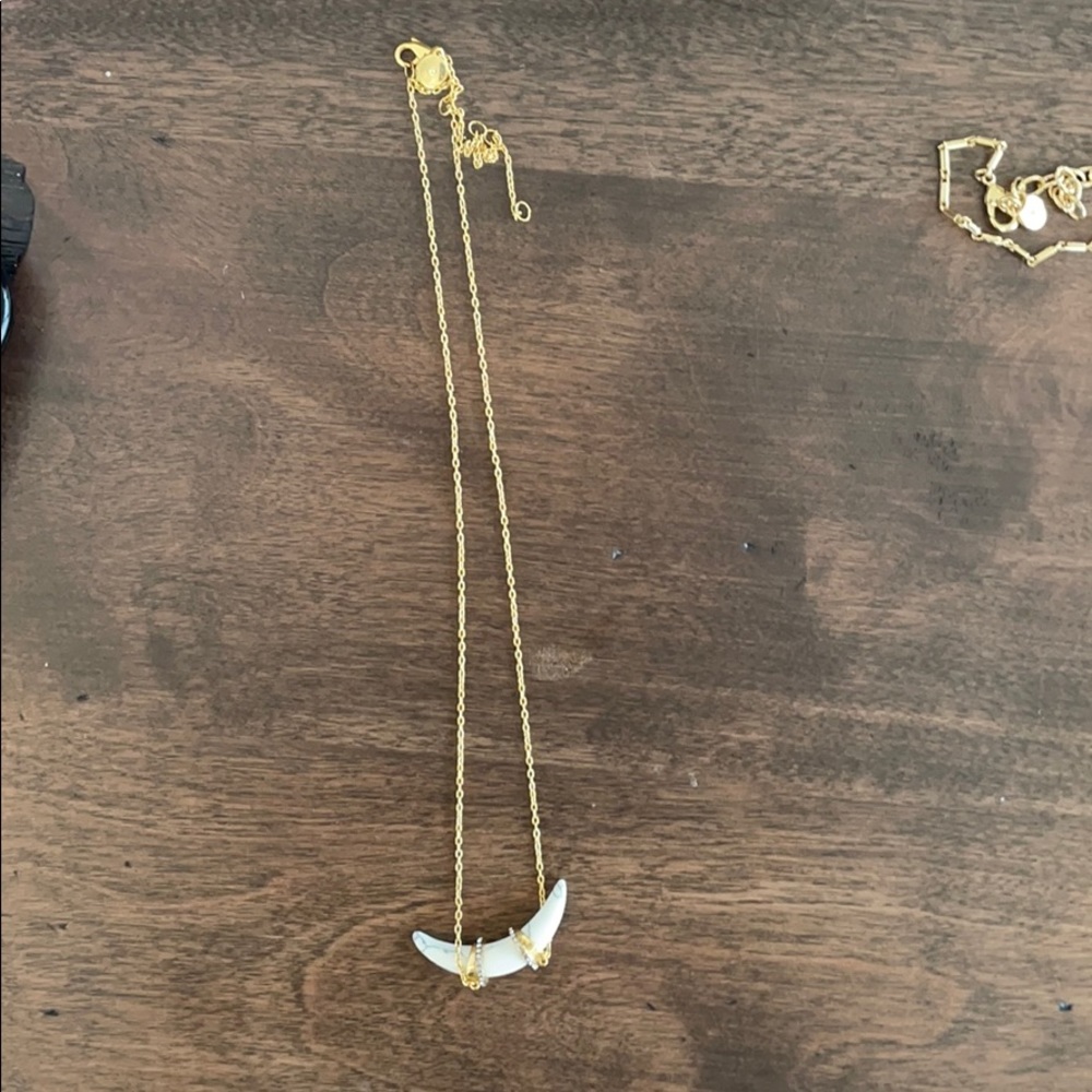 Stella and Dot necklace